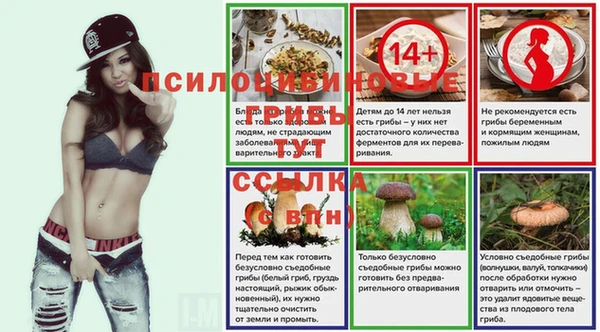 герыч Дмитриев