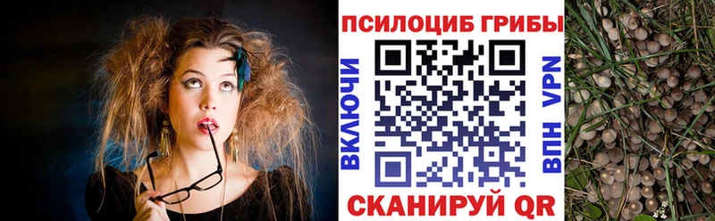 Галлюциногенные грибы мицелий  Духовщина 